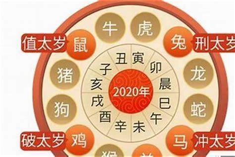 2023属虎|属虎人2023年整体运势及运程 2023年属虎人的全年运。